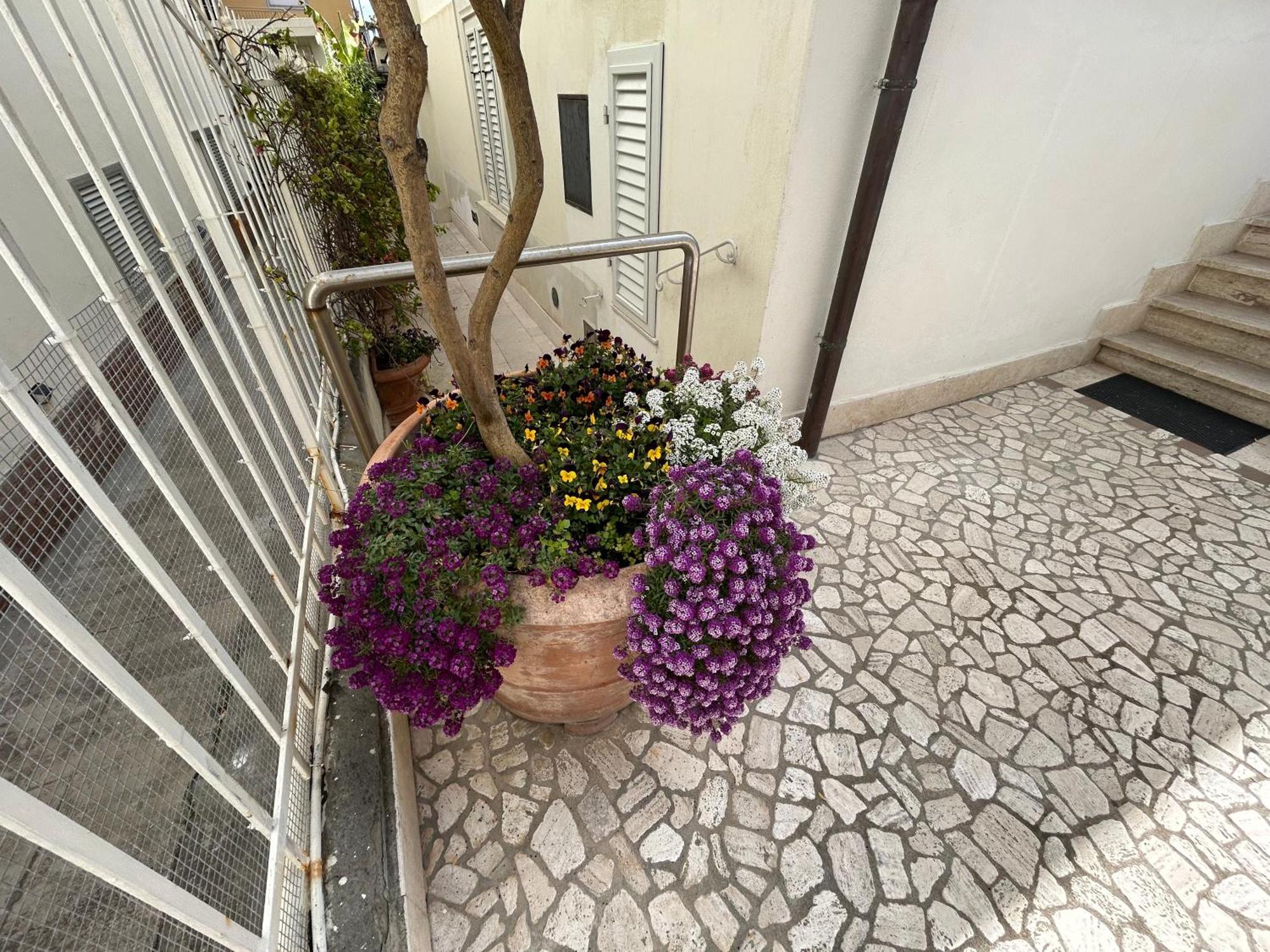 La Casa Di Rosi Al Mare Apartment Vada Exterior photo